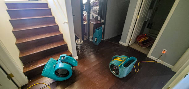 Best Flood damage cleanup  in Ckam Housing, HI