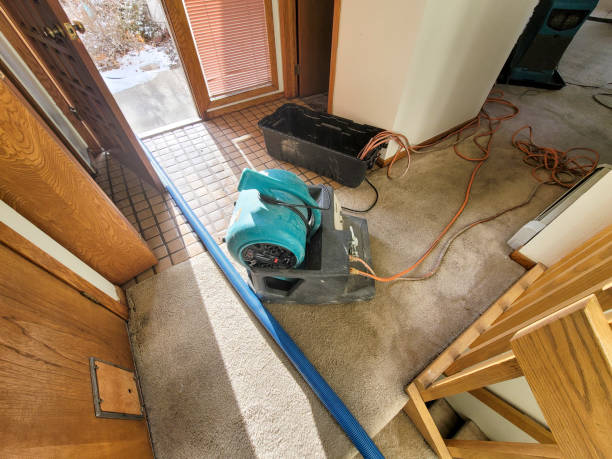 Best Ceiling water damage repair  in Ckam Housing, HI