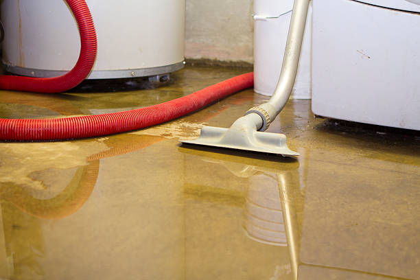 Best Water damage restoration near me  in Ckam Housing, HI