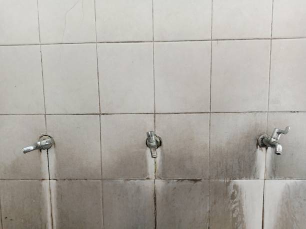  Ckam Housing, HI Water damage restoration Pros