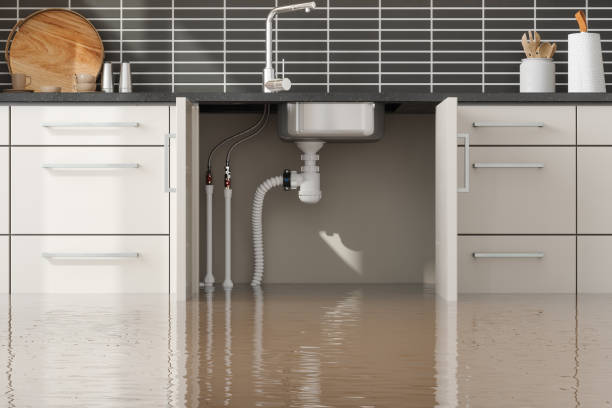 Professional Water damage restoration in HI